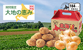 スイーツ